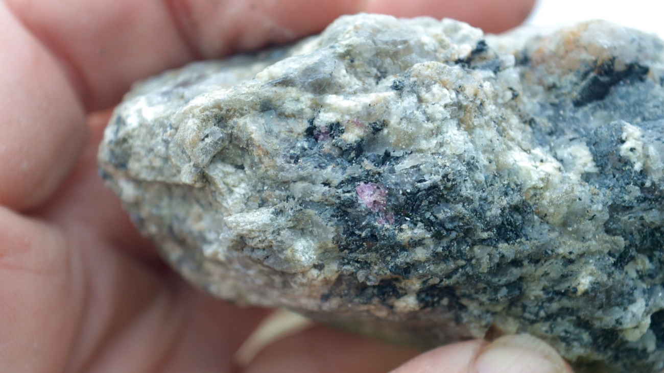 Granatkristalle vom Strand Foto GeoPark Nordisches Steinreich
