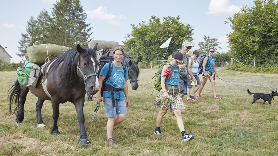 Eine Gruppe Menschen wandert mit zwei bepackten Pferden durch eine Wiese