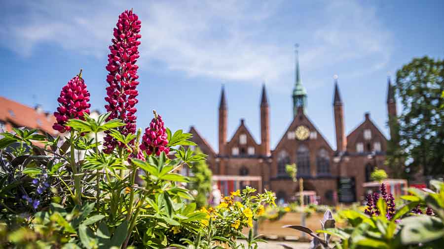 Farbenprächtige Blumen stehen auf dem Kulturgarten vor der Fassade des Heilig-Geist-Hospitals