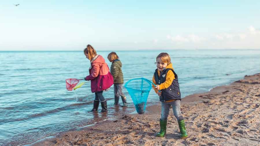 Drei Kinder sind mit bunten Keschern am Meeresstrand unterwegs