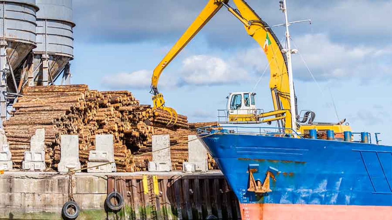 An einem Kai lädt ein Kran Holzstangen in ein blaues Frachtschiff