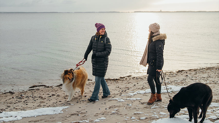 Zwei Frauen sind mit jeweils einem Hund am Strand und unterhalten sich.