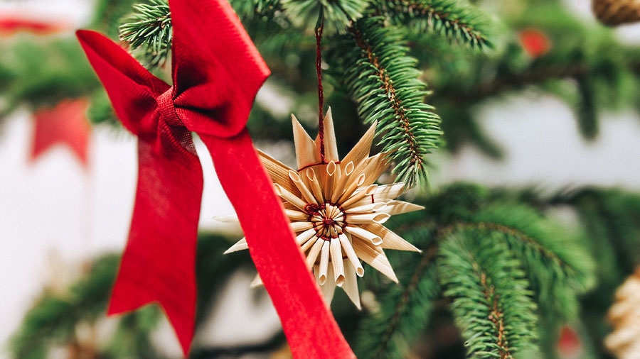 Detailaufnahme eines geschmückten Weihnachtsbaums: Ein Strohstern und eine rote Schleife hängen an einem Ast