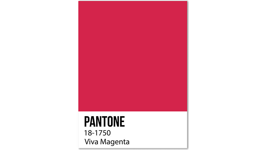 Ein pink-rotes Quadrat. Darunter steht "Pantone 18-1750 Viva Magenta"