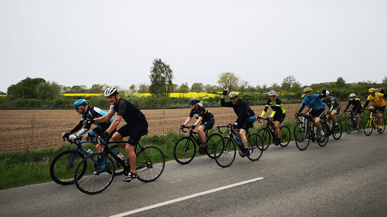 Auf einer Straße fahren mehrere Sportradler. Im Hintergrund ein Rapsfeld