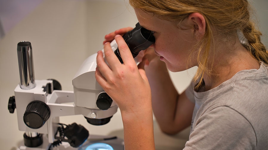 Ein blondes Mädchen schaut in ein Mikroskop.