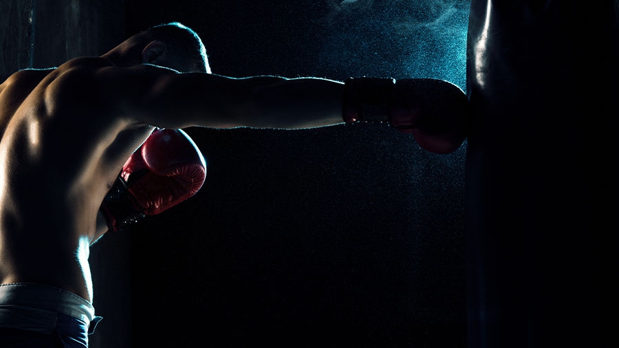 Ein Boxer boxt die Wand an.