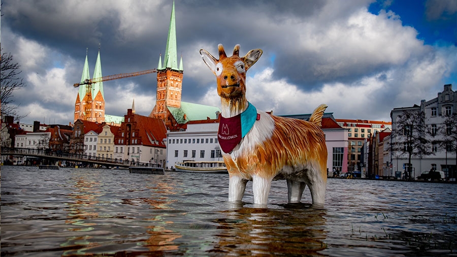 Zieglinde steht im Wasser, im Hintergrund die Altstadt und die Türme Lübecks.