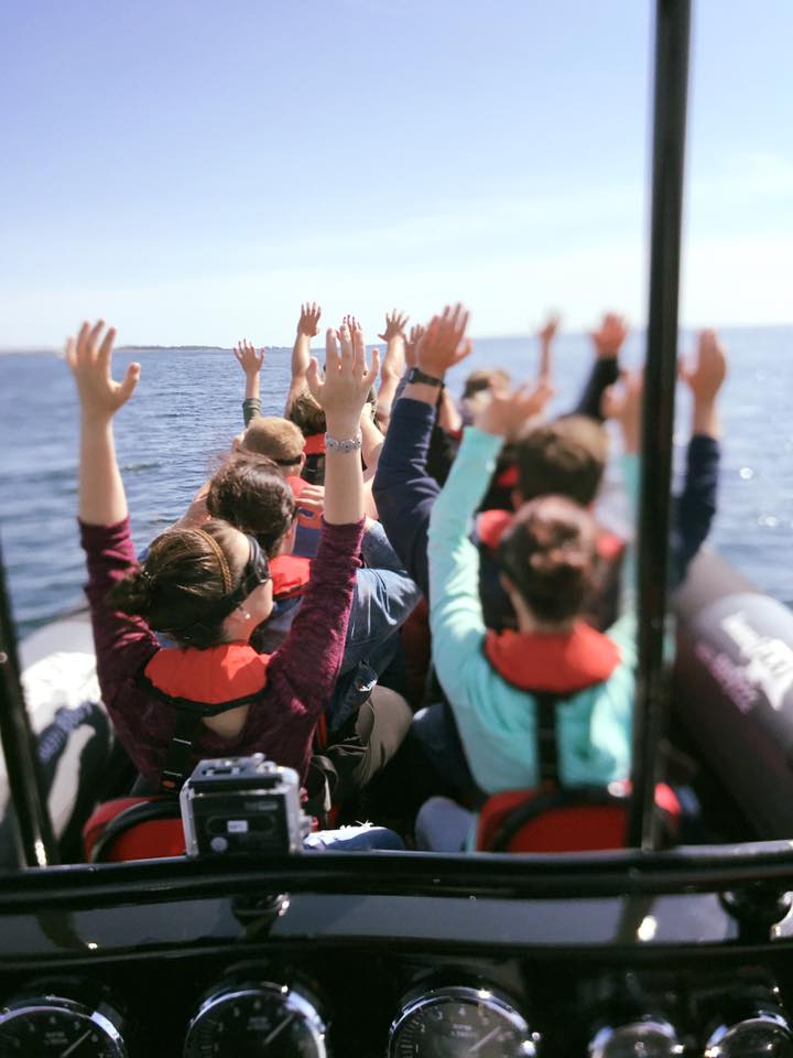 Mehrere Personen sitzen in einem Speedboat und halten die Hände in die Luft.