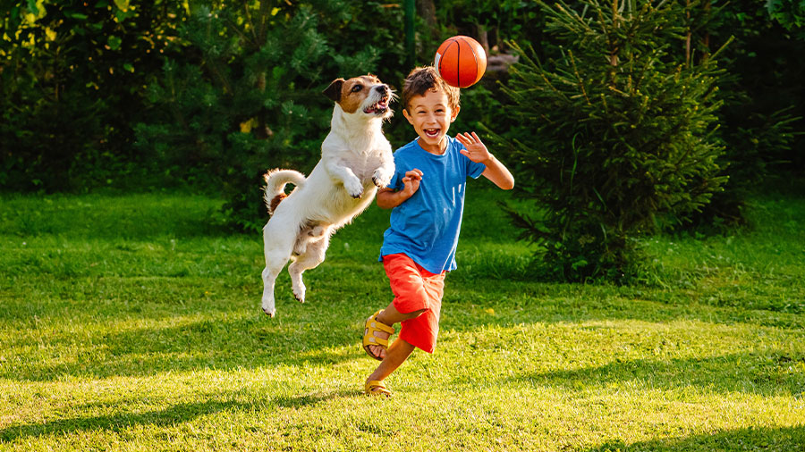 Ein Kind und ein Hund spielen im Garten mit einem Ball.