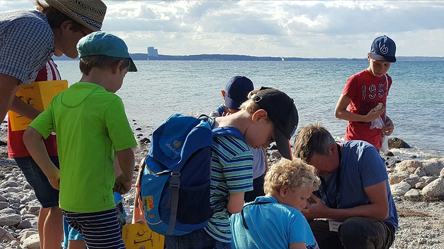 Mehrere Kinder suchen Steine am Strand der Ostsee.