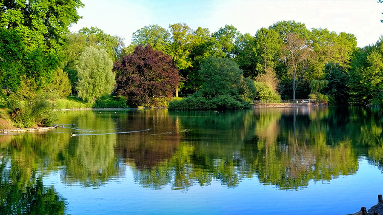 Der Stadtpark Lübeck mit Bäumen und einem großen Teich in der Mitte.