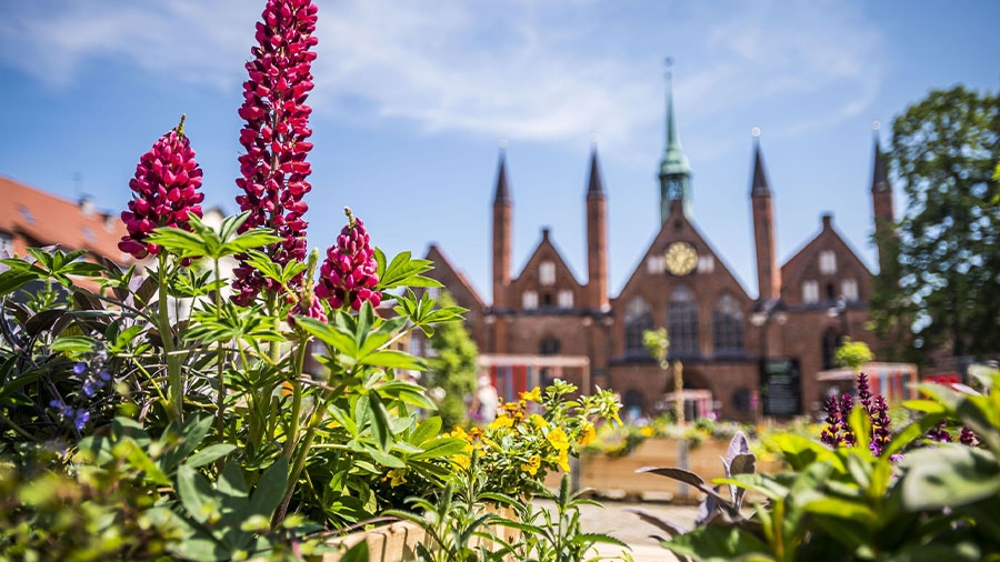 Der Übergangsgarten am Koberg.