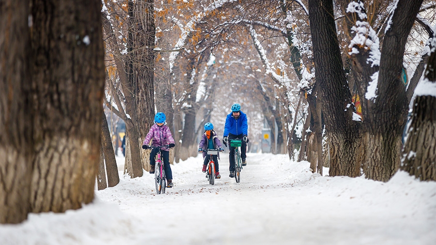 Eine Familie fährt im Winter Fahrrad. AdobeStock_558334292