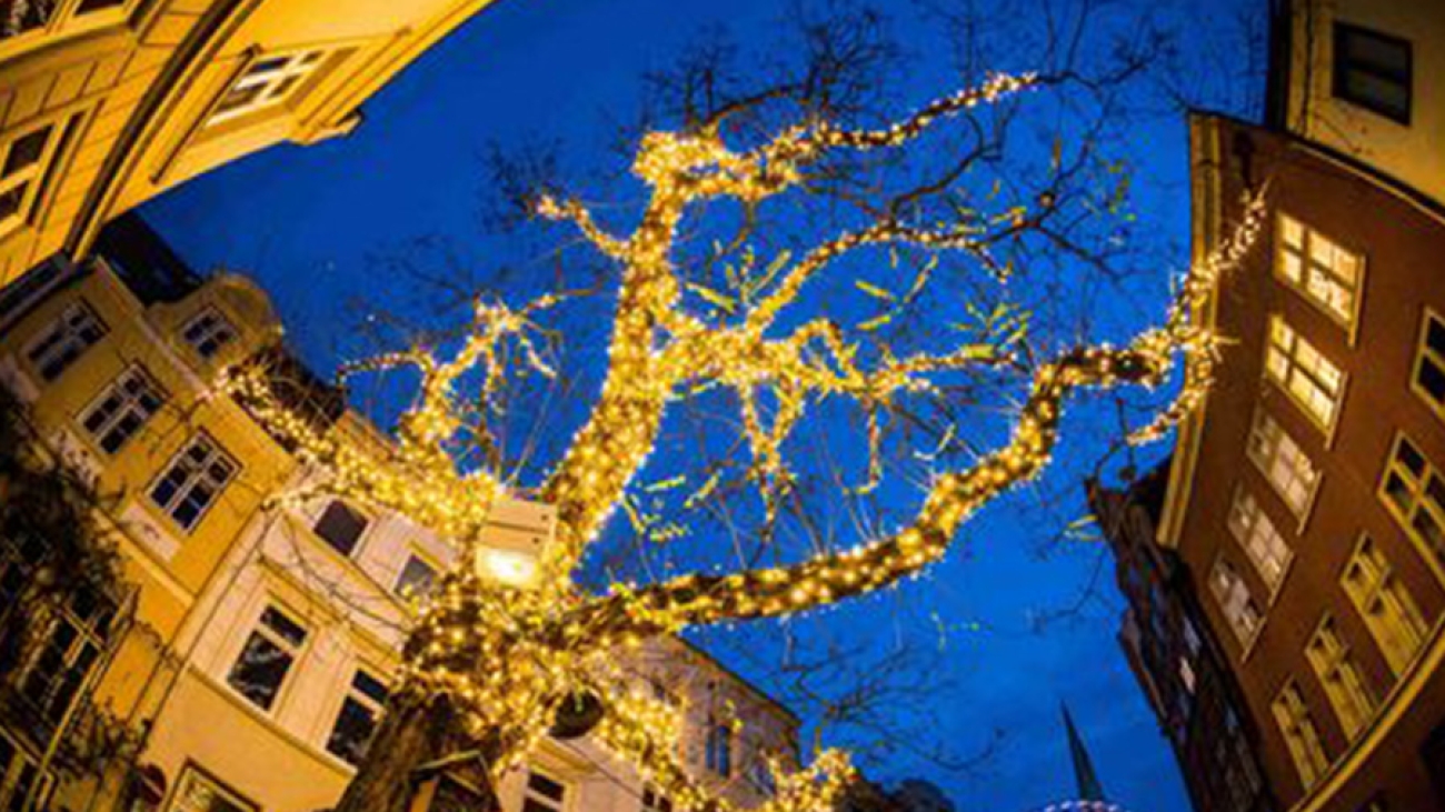 ein beläuchteter Baum zur Weihnachtszeit