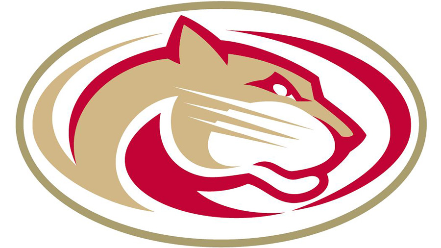 Das Logo der Lübeck Cougars