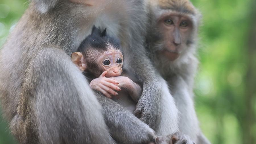 Aktion „Sonnentag“ im Tierpark Gettorf