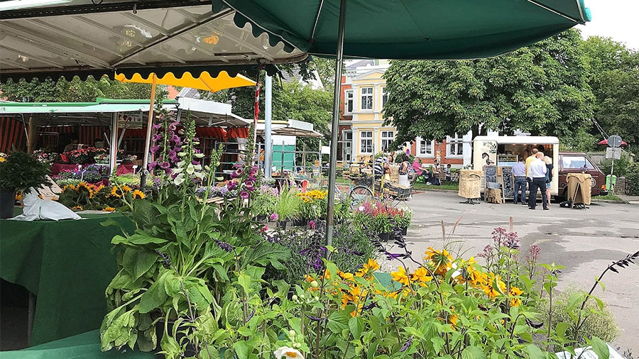 Frühlingserwachen am Wochenmarkt