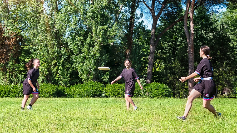 Drei Sportler beim Frisby spielen