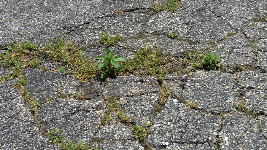 Aufgebrochener Radweg